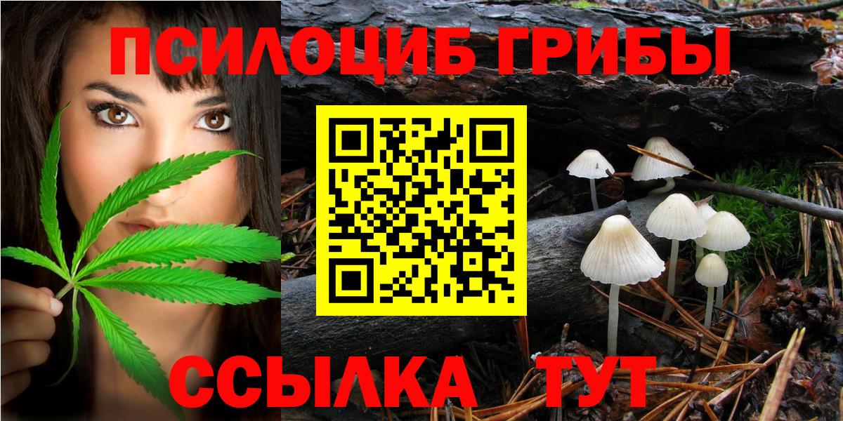 Галлюциногенные грибы Psilocybe Моздок